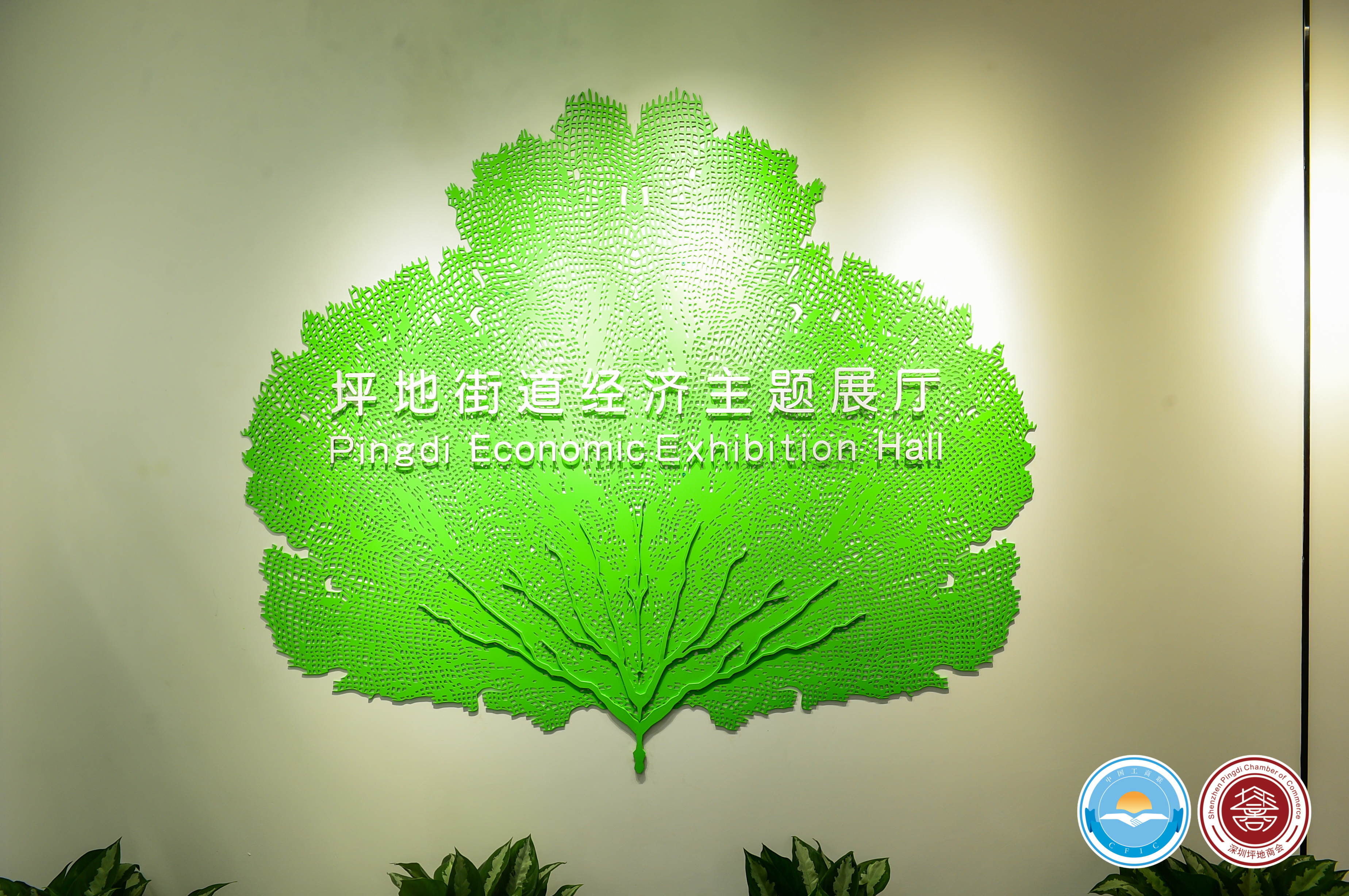 xc sports(中国区)-官方网站